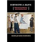 Birthing a Slave: Motherhood and Medicine in the Antebellum South