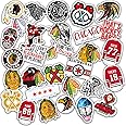 Set of Chicago Vinyl Blackhawks Aesthetic 2-2,5 inch Decal Sticker Pack of 30 pcs