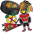 Desert Cactus Chicago Blackhawks Team NHL National Hockey League Sticker Vinyl Decal Laptop Water Bottle Car Scrapbook (Type 