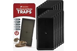 LULUCATCH Super Glue Traps 12 Pack for Mice & Snakes, Larger, Heavier Sticky Traps with Non-Toxic Glue. Sticky Mouse Traps In