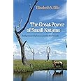 The Great Power of Small Nations: Indigenous Diplomacy in the Gulf South (Early American Studies)