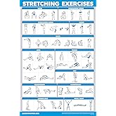 Palace Learning QUICKFIT Stretching Workout Exercise Poster - Stretch Routine (Laminated, 18" x 27")