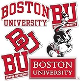 Desert Cactus Boston University Sticker Terriers BU Stickers Vinyl Decals Laptop Water Bottle Car Scrapbook T2 (Type 2)