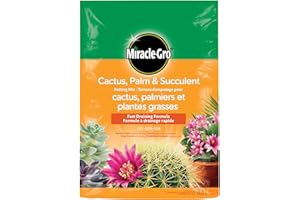 Miracle-Gro 73018010 Cactus, Palm and Succulent Potting Mix