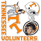 Desert Cactus University of Tennessee Stickers UT Knoxville Volunteers Vols Sticker Vinyl Decals Laptop Water Bottle Car Scra