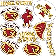 Desert Cactus Iowa State University Sticker ISU Cyclones Stickers Vinyl Decals Laptop Water Bottle Car Scrapbook T2 (Type 2)