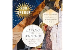 Living in Wonder: Finding Mystery and Meaning in a Secular Age