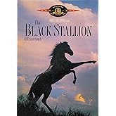 The Black Stallion