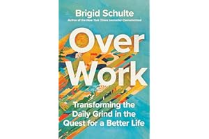 Over Work: Transforming the Daily Grind in the Quest for a Better Life