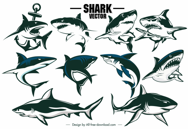 shark icons dynamic handdrawn outline 