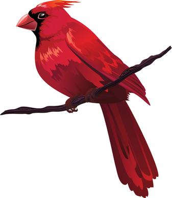 red bird on tree branch