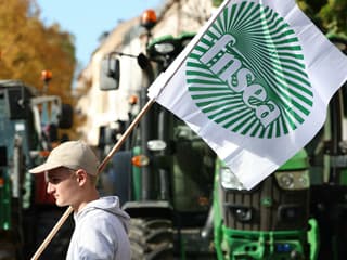 Un agriculteur brandit le drapeau de la Fédération nationale des syndicats d'exploitants agricoles (FNSEA), à Strasbourg le 21 octobre 2024.