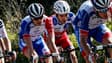 Cyclisme - David Gaudu et Guillaume Martin