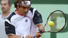 David Ferrer