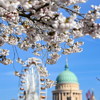 Jahreszeiten: Wann Frühling, Sommer, Herbst und Winter bei uns beginnen