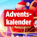 Link: https://spiele.bild.de/adventskalender/