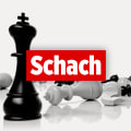 Link: https://spiele.bild.de/schach/