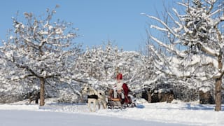 Wetter an Weihnachten: In diesen Regionen könnte es schneien