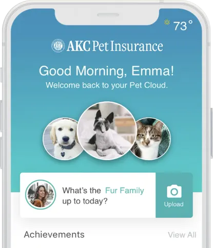 petcloud iphone mockup