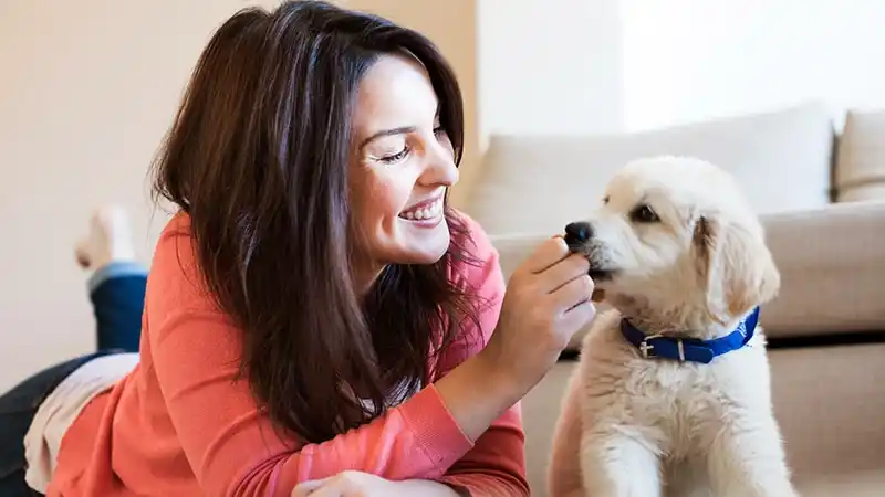 girl-caring-for-golden-puppy-header-new.jpg