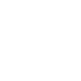 DESY Logo