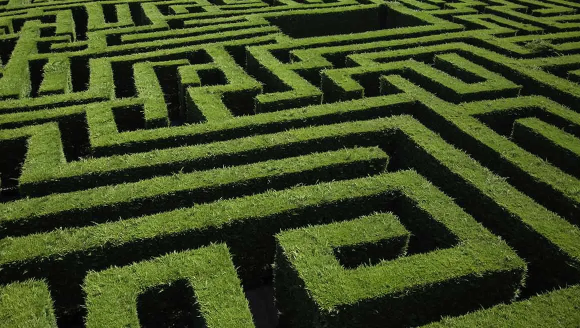 hedge maze