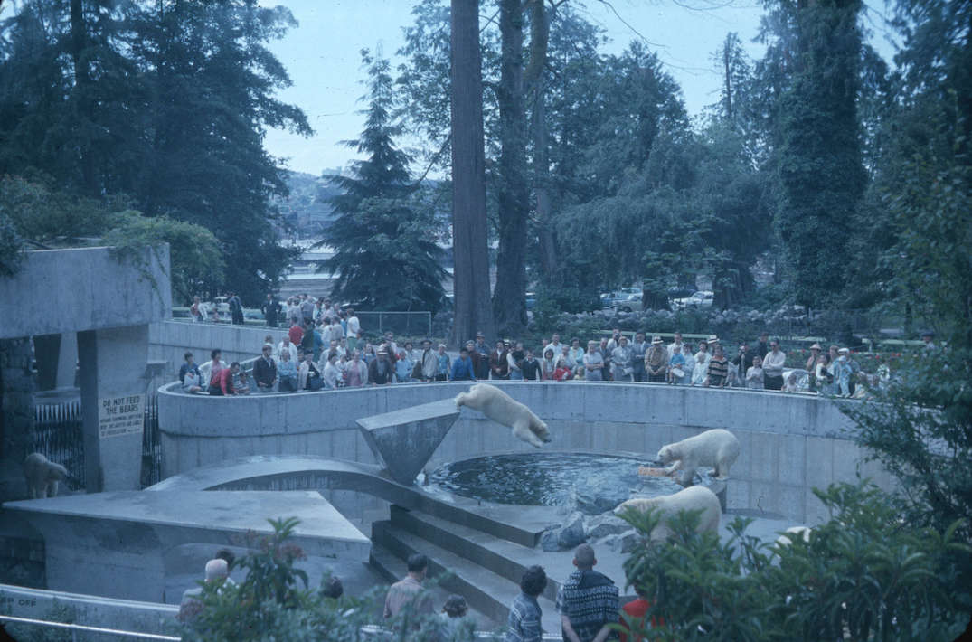 stanley park zoo polar bear exhibit