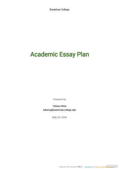 Academic Essay Plan Template