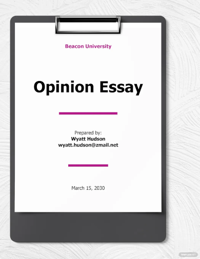 Opinion Essay Template