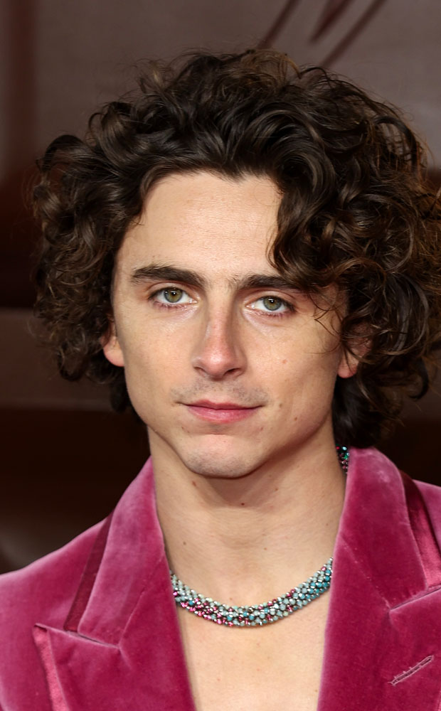 A Complete Unknown Timothee Chalamet