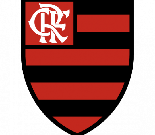 Emilio Habibe é novo presidente do Conselho de Administração do Flamengo