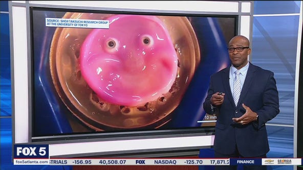 Scientists make smiling robot with living skin