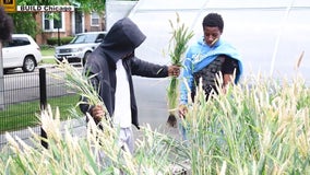 Chicago urban farming: Youth learn to grow food and give back