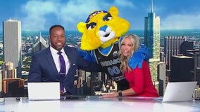 The Chicago Sky's new mascot, Skye the Lioness, visits Good Day Chicago