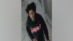 Chicago police seek suspect in CTA Green Line robbery