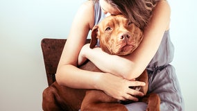 1 in 4 Gen Zers say they've given up their pets due to high costs