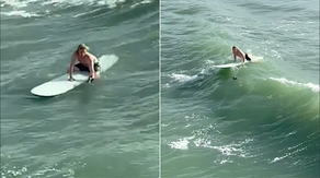 Surfer saves bird struggling in rough surf near Cocoa Beach pier: 'He's a hero'