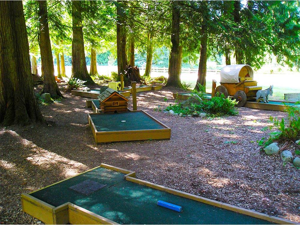 Miniature golf course at THOUSAND TRAILS GRANDY CREEK