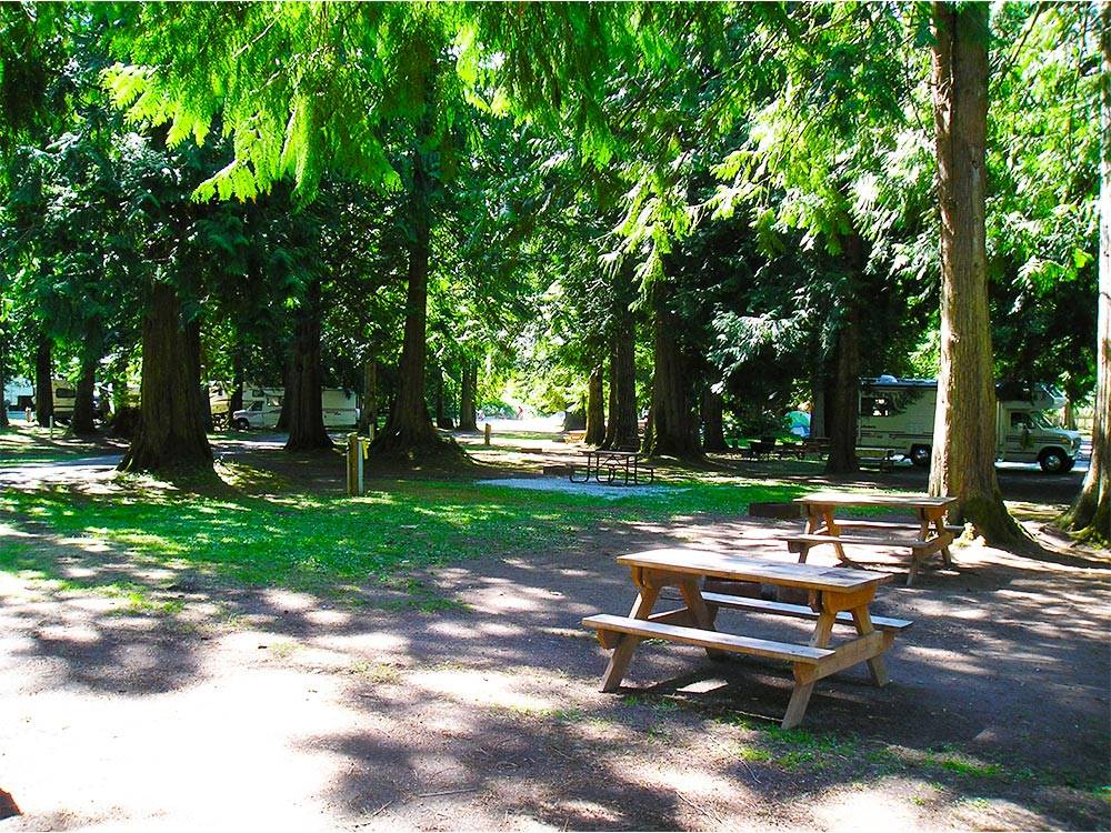 RVs camping  at THOUSAND TRAILS GRANDY CREEK