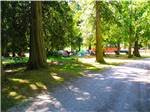 Tents at THOUSAND TRAILS GRANDY CREEK - thumbnail