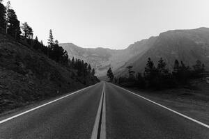 Monochrome Road Trees Landscape 5k (1400x1050) Resolution Wallpaper