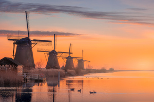 Windmill Village In Netherlands (1280x720) Resolution Wallpaper