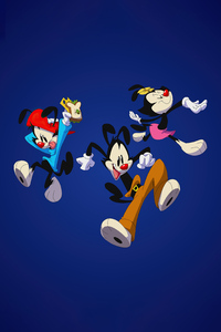 Animaniacs (720x1280) Resolution Wallpaper