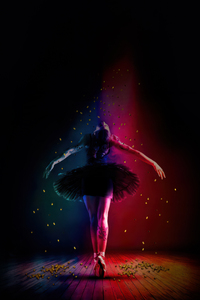 Ballerina 2025 (1080x2280) Resolution Wallpaper