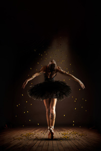 Ballerina Movie (1080x2280) Resolution Wallpaper