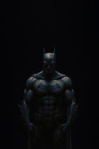 Batman Guardian Of Gotham Night (540x960) Resolution Wallpaper