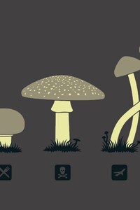 Mushroom Minimalism (1125x2436) Resolution Wallpaper