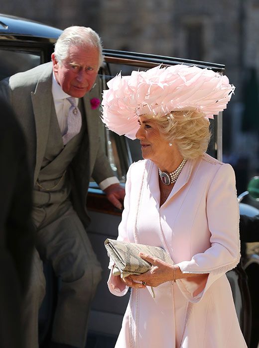 camilla pink hat