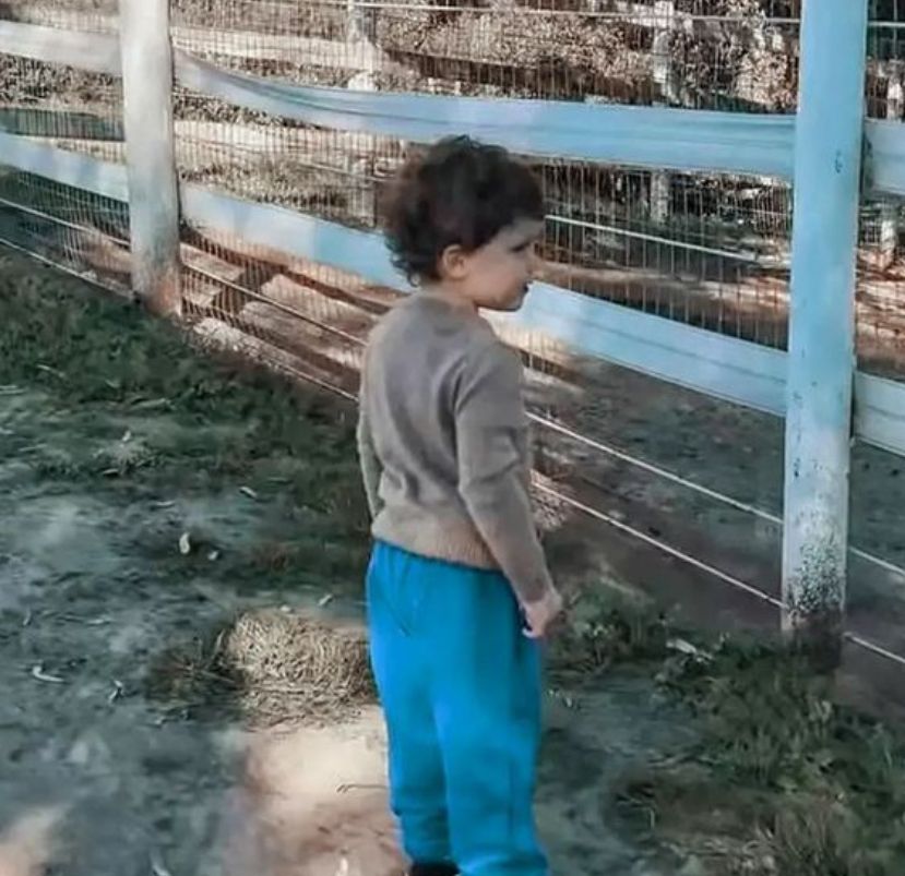 Prince Archie in sweatpants looking through a fence