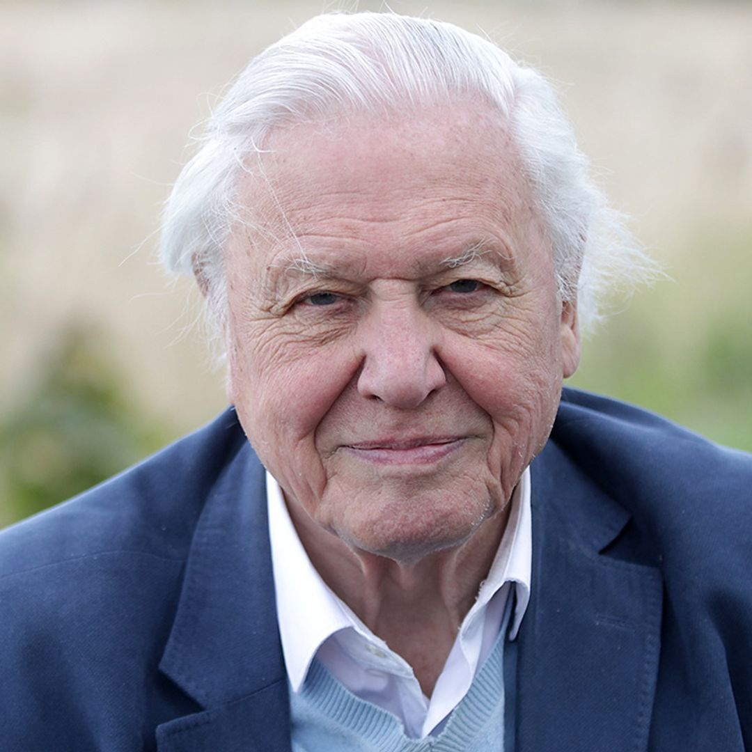 Find out what David Attenborough's net worth is and how he accumulated his fortune